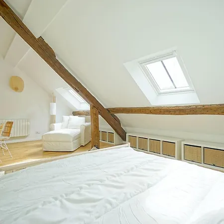 Apartment Beautiful Bright Near The Marais